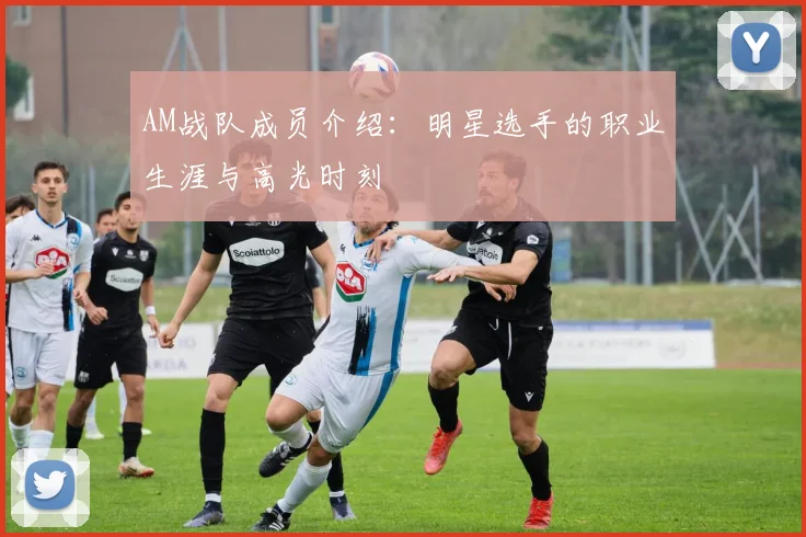 AM战队成员介绍：明星选手的职业生涯与高光时刻