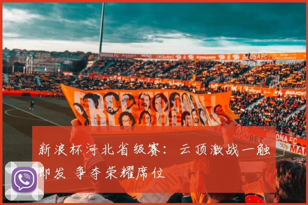 新浪杯河北省级赛：云顶激战一触即发 争夺荣耀席位