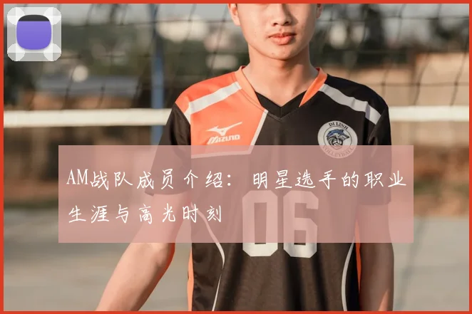 AM战队成员介绍：明星选手的职业生涯与高光时刻