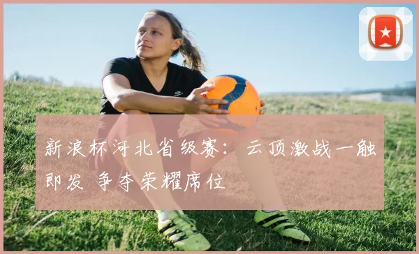新浪杯河北省级赛：云顶激战一触即发 争夺荣耀席位