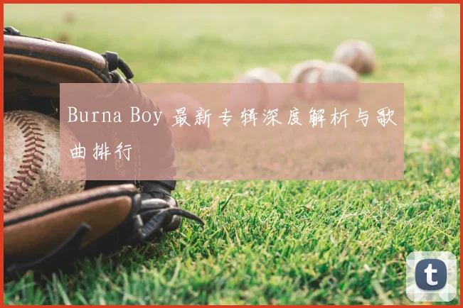 Burna Boy 最新专辑深度解析与歌曲排行